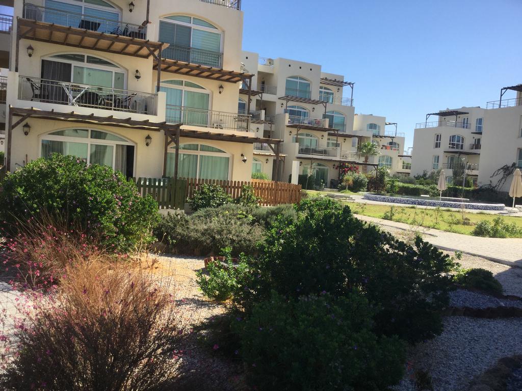 Aphrodite Beachfront Apartment Ghaziveran Exterior foto